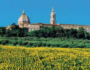 Le Marche